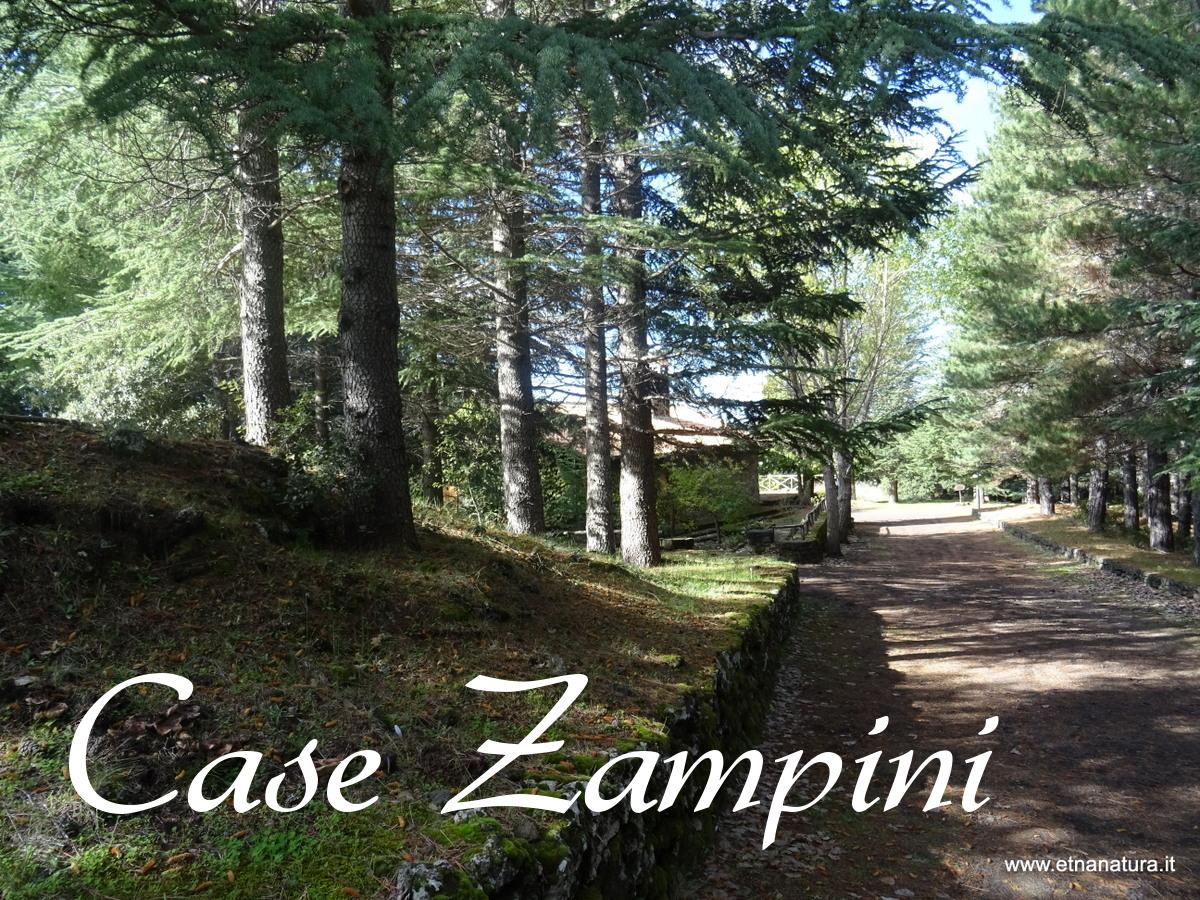 Case Zampini
